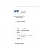 Como se da la Presentación de la matriz de análisis efectuada en la asignatura de práctica de observación