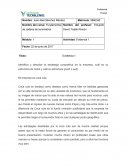 Fundamentos de cadena de suministros Evidencia 1