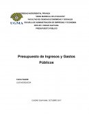 Presupuesto de Ingresos y Gastos Públicos