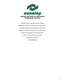 Ensayo sobre la administración. MODULO: Manejo del Proceso Administrativo