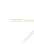 Cuadro de Analisis Identificación Diseño