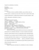 Los hidratos de carbono son polihidroxi aldehídos