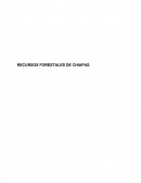 Recursos Forestales de Chiapas