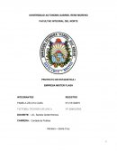 Un nuevo Proyecto estadistica