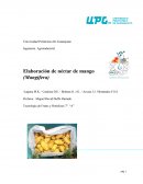 El Néctar de Mango en su único tipo y grado de calidad debe cumplir con las siguientes especificaciones: Néctar de mango