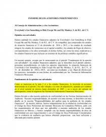 Auditoría INFORME DELOS AUDITORES INDEPENDIENTES. Página 1