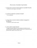 ¿De qué color se tornó la cinta de magnesio encendida?