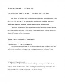 RESUMEN DE MI LABOR EN MI PRÁCTICA PROFESIONAL CONTABLE. Página 1