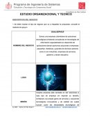 Formato para Estudio Organiz y Tecnico