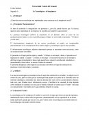 ¿Problema? ¿Cómo las nuevas tecnologías son implantadas como creencias en el imaginario social?