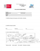 Emociones SECRETARIA DE EDUCACIÓN BÁSICA