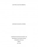 AUDITORIA DE GESTION AMBIENTAL