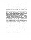 Ensayo sobre el conocimiento resulta de la acción transformadora del sujeto sobre el mundo