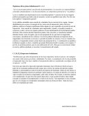 Papiniano, libro primo definitionum