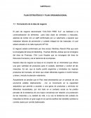 PLAN ESTRATÉGICO Y PLAN ORGANIZACIONAL