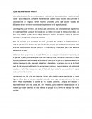 ¿Qué soy en el mundo virtual?