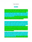 TRIBUS URBANAS AZUL: ERIKA