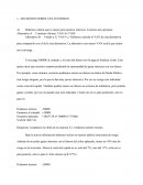 Decisiones sobre una inversión