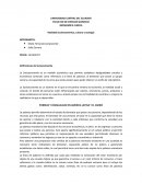 LA gran Realidad Socioeconomica