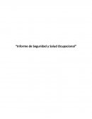 Informe de Seguridad y Salud Ocupacional