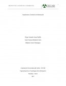 Diagrama general de la AIE de la Corporación Universitaria del Caribe CECAR