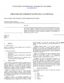 PROCESO DE FERMENTACIÓN DE LA CERVEZA