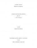 Es llegar a cumplir las metas que me he trazado ya que tengo las capacidades