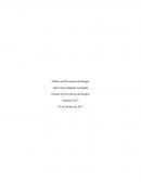 Ensayo de la Politica de prevención de riesgos