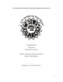 Teoría general del proceso penal oral.