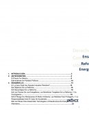 ENSAYO reforma energetica