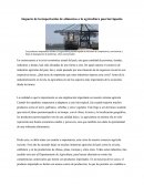 Impacto de la Importacion de la agricultura puertorriquena