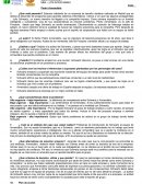 Ensayo Caso Pedro Armendariz