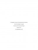 Ejemplo de El tarbajador clave para el funcionameinto de la empresa