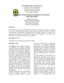 CLASIFICACIÓN POR SOLUBILIDAD Y ENSAYOS PRELIMINARES