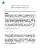 UN NUEVO ESTADO GASEOSO Y LEYES QUE LO RIGEN