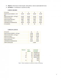 Informe de caracterizacion - Ensayos de Laboratorio. Página 7