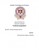 Metodologias del presupuesto