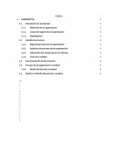 Líneas de negocio de la organización