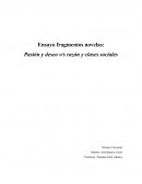 Ensayo fragmentos novelas:Novelas Pasión y deseo v/s razón y clases sociales