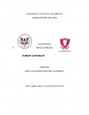 Como es la Comida japonesa