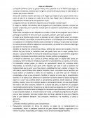 Tema de la ¿Qué es la filosofía?