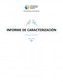 Informe de caracterizacion - Ensayos de Laboratorio