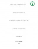 Cuales son los Proyectos transversales