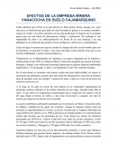 Trabajo 1 Efectos de la Empresa Minera Yanacocha en suelo Cajamarquino