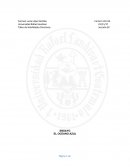 La metáfora “La Estrategia del océano azul”