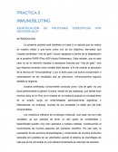 IDENTIFICACIÓN DE PROTEINAS ESPECÍFICAS POR WESTERN BLOT