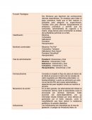Son fármacos que deprimen las contracciones uterinas espontáneas