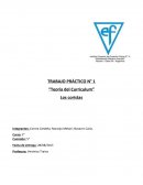 La Teoría del Curriculum