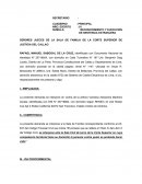 Ejemplo de la Demanda de exequator