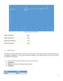 Informe de caracterizacion - Ensayos de Laboratorio. Página 8